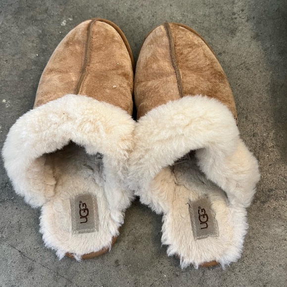 Shoes - Ugg Scuffette Slipper